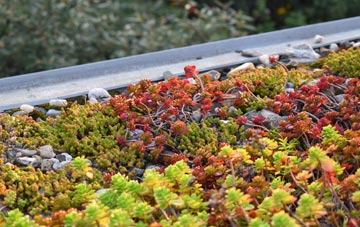 the cost of Moccas green roof installation